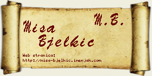 Miša Bjelkić vizit kartica